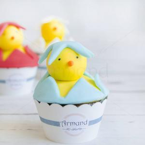 Cupcake pui albastru Cupcake pui albastru
