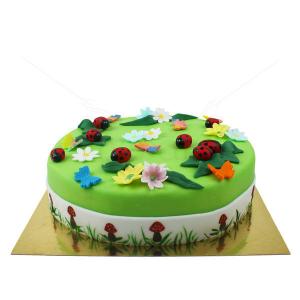Tort Gradina cu buburuze Tort Gradina cu buburuze