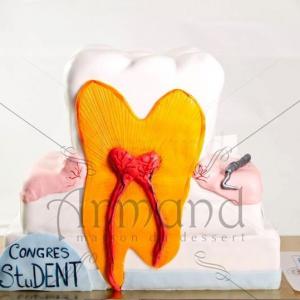 Tort corporate Congresul studentilor stomatologi