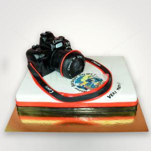Tort Aniversar Aparat foto Tort Aniversar Aparat foto