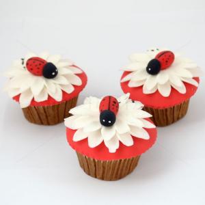 Cupcake Margareta si buburuza Cupcake Margareta si buburuza