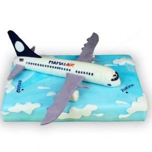 Tort Avion Tort Avion