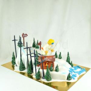 Tort aniversar Ski Hobby Tort aniversar Ski Hobby
