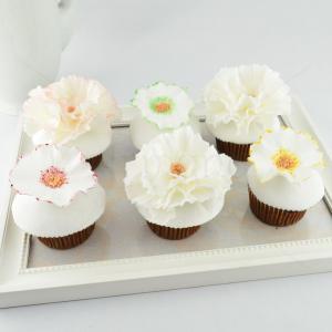 Colectie cupcake flori albe