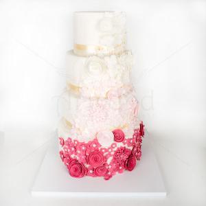 Tort Flori degradee Tort Flori degradee