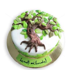 Tort Copac corcodus Tort Copac corcodus