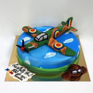 Tort Avion militar