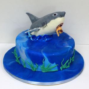 Tort rechin infricosator Tort rechin infricosator