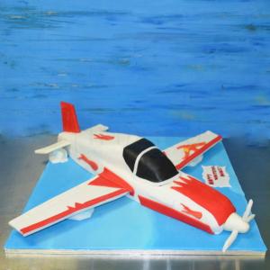 Tort Avion privat 2