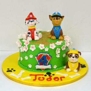 Tort Paw Patrol