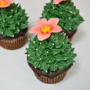 Cupcakes Cactusi si flori