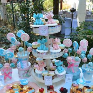 Candy Bar Gemeni - tematica Elefantei Candy Bar Gemeni - tematica Elefantei