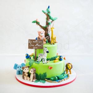 Tort Jungla colorata Tort Jungla colorata
