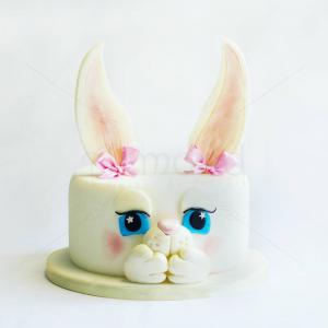 Tort Iepuras Urechiat Tort Iepuras Urechiat