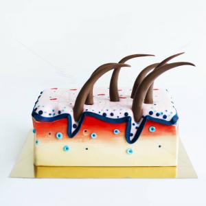 Tort Sectiune Piele Tort Sectiune Piele
