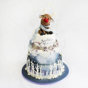 Tort Renul Rudolf