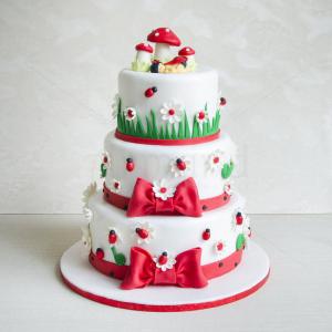 Tort Ciupercute si buburuze Tort Ciupercute si buburuze