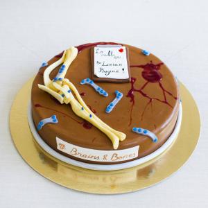 Tort Doctor Ortoped Tort Doctor Ortoped