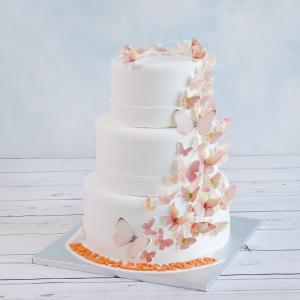 Tort botez fetita Fluturi somon Tort botez fetita Fluturi somon