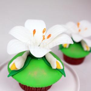 Cupcake Crini Regali Cupcake Crini Regali