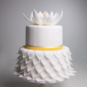 Tort nufar alb Tort nufar alb