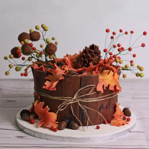 Tort Culorile Toamnei Tort Culorile Toamnei