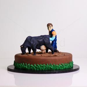 Tort medic veterinar Tort medic veterinar
