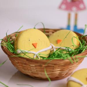 Macaron Puisor Macaron Puisor