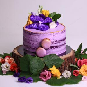 Tort Purple Velvet