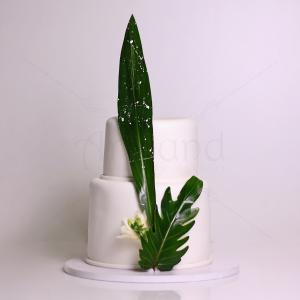 Tort frunze Tort frunze