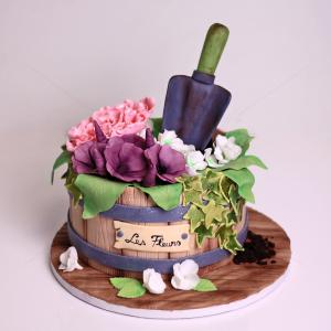Tort Ghiveci pastelat Tort Ghiveci pastelat