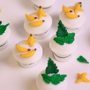 Colectie Mini Cupckes Tematica Jungla Colectie Mini Cupckes Tematica Jungla