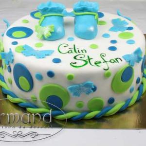 Tort Botosei bebe Tort Botosei bebe