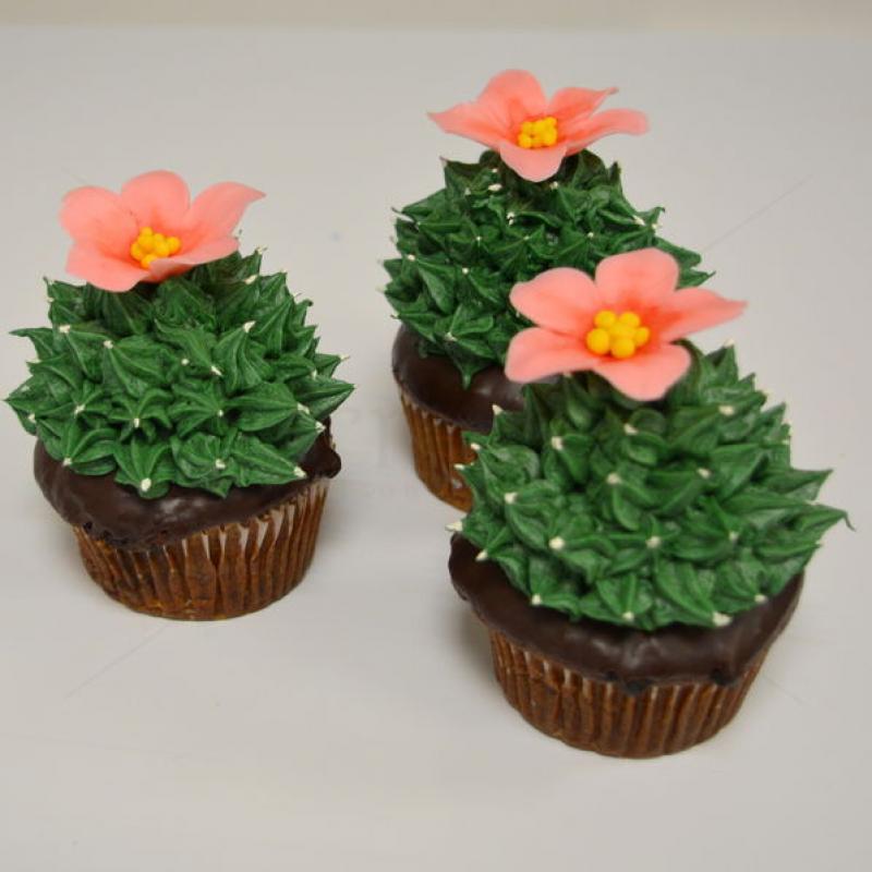 Cupcakes Cactusi si flori
