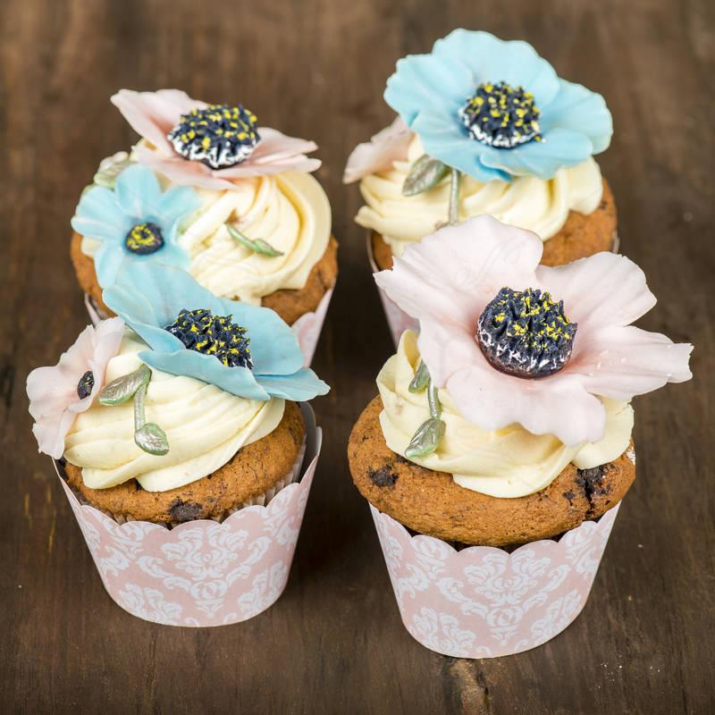 Cupcakes Anemone