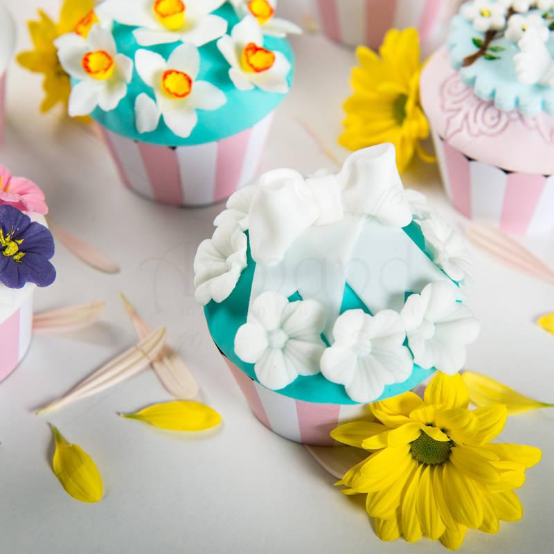 Cupcake Colectia Spring Time