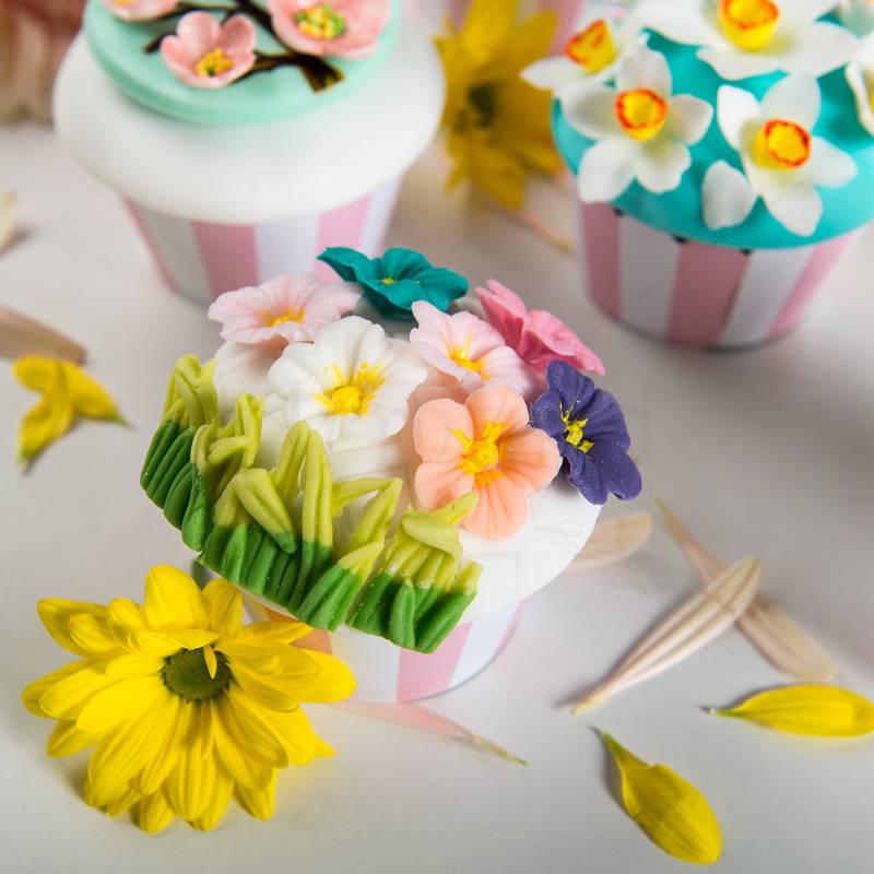 Cupcake Colectia Spring Time