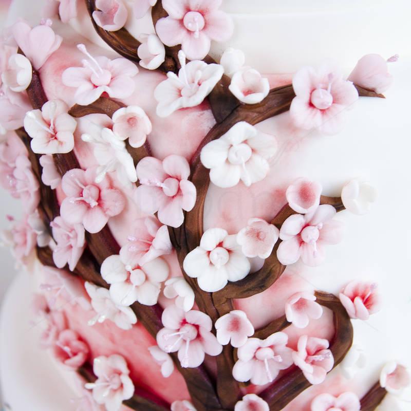 Tort Flori de cires - Micii Japonezi