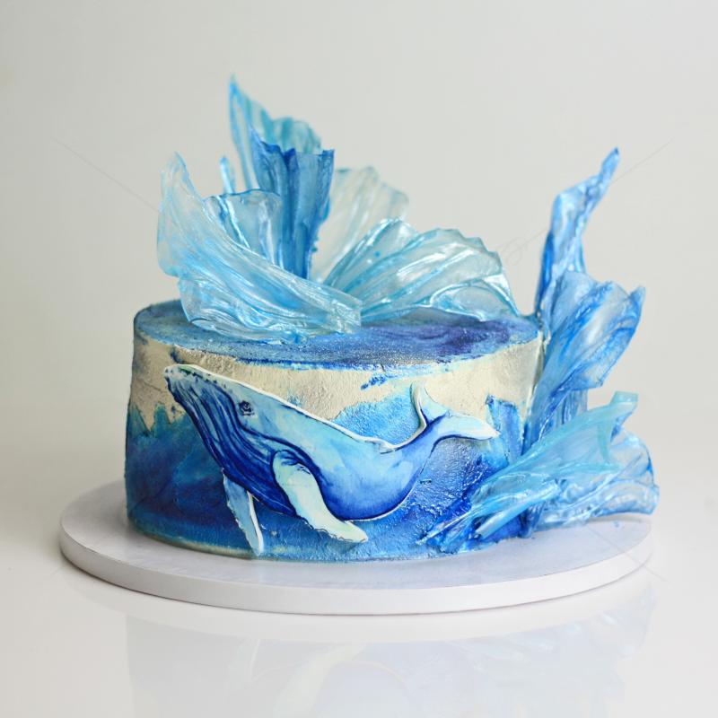 Tort The whale and the blue sea Tort The whale and the blue sea