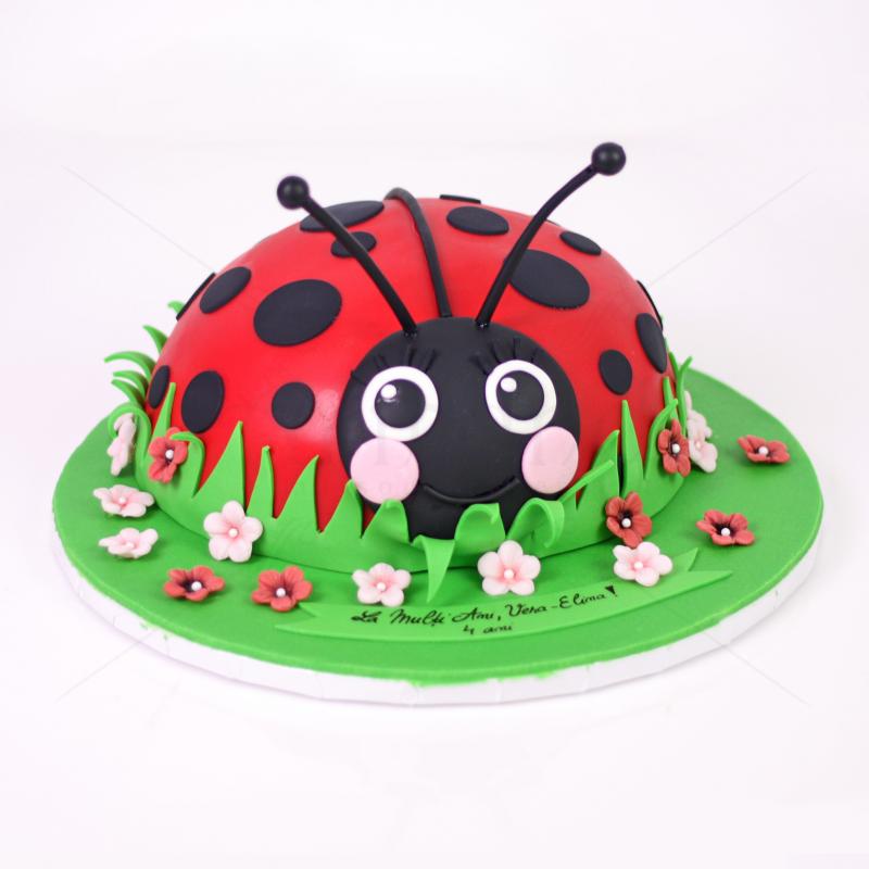 Tort Personalizat Buburuza