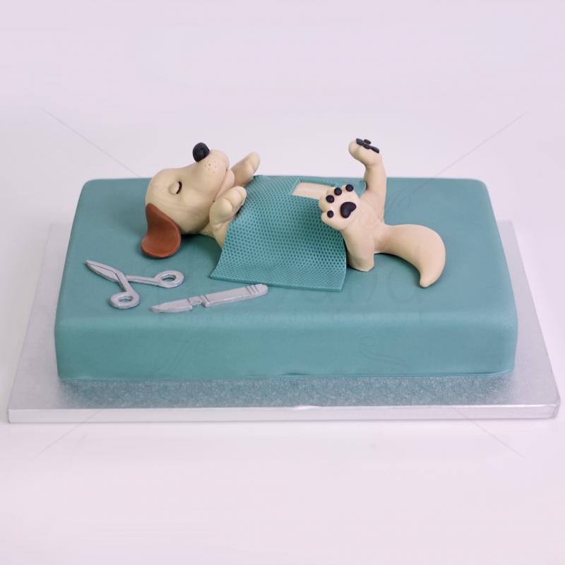 Tort Personalizat Micul Pacient la Veterinar