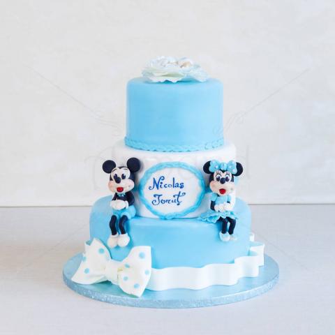 Tort Mickey & Minnie