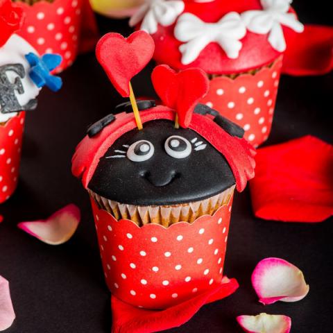 Cupcakes Gargarite indragostite