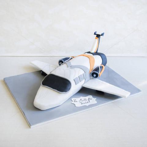 Tort Avion privat