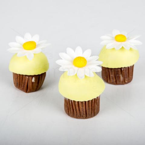 Mini cupcake margarete