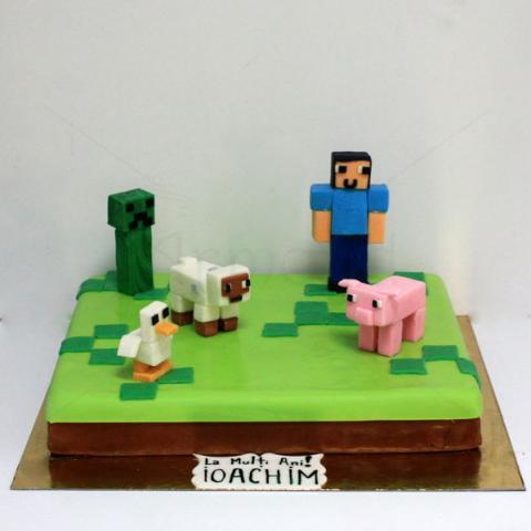 Tort Joc Minecraft