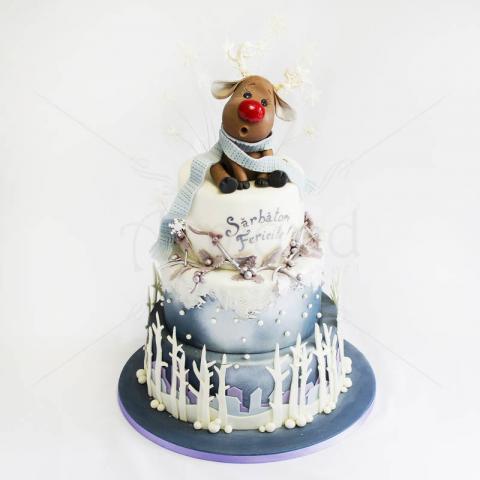 Tort Renul Rudolf