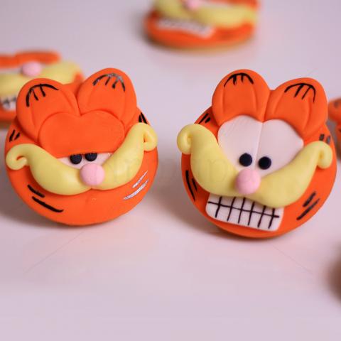 Colectie Biscuiti Garfield