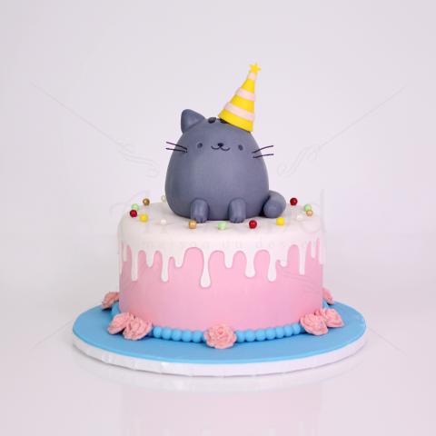 Tort Pisica Pusheen La Petrecere