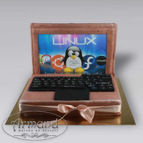 Tort Laptop